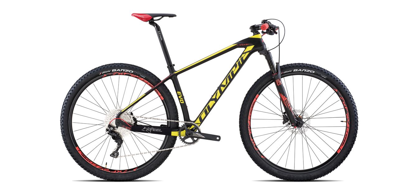 Olympia EVO CARBON DEBOBikes